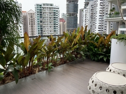 8 Saint Thomas (D9), Condominium #208908211